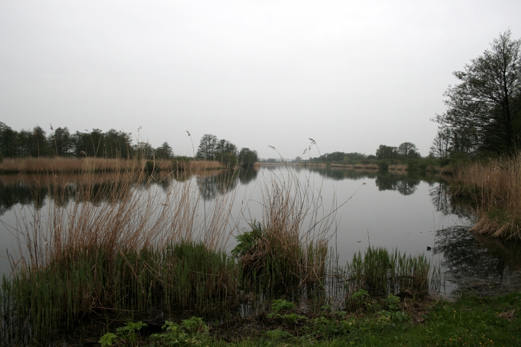 VWG vogelreis Oost Duitsland mei 2010 433